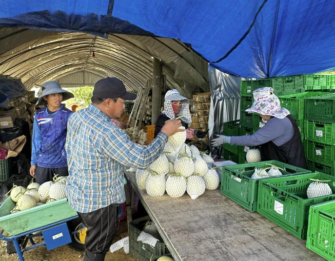 진천군, 외국인근로자 숙련기능인력(E-7-4) 비자 전환 행정수수료 지원