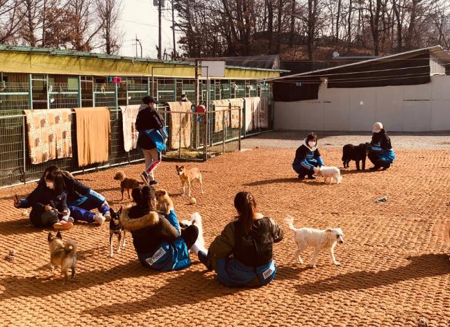 경기도, 민간동물보호시설서 보호중인 동물들 건강 챙긴다. 수의사 현장 방문