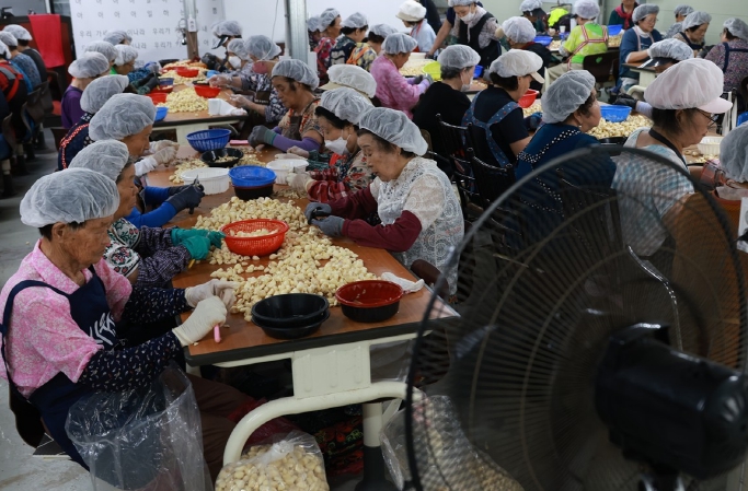 충북도, ‘일하는 밥퍼’ 노인 자살예방 선도사례 선정
