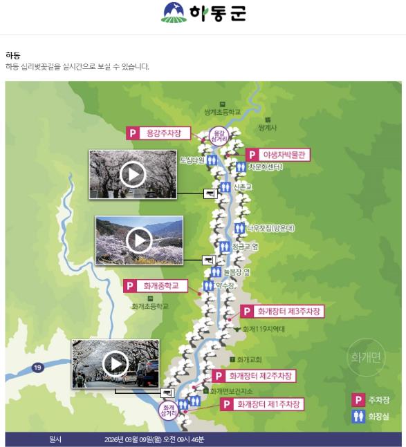 오늘 벚꽃 폈을까? 궁금하다면 "하동군 벚꽃 개화 실시간 서비스"