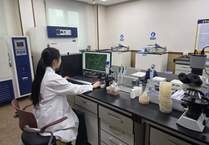 청도군농업기술센터에서 직접배양-‘탄저병’예방을 위한  특허 미생물 GH1-13 공급!