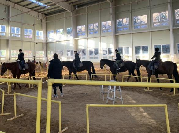 양평군, 2026년 봄 학기 학생승마체험 신청 접수