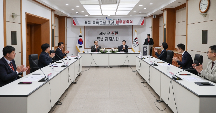 강원특별자치도, 유기묘 입양·반려동물 의료지원 확대… 동물복지 민관 협력 강화