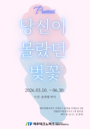 제주TP, ‘당신이 몰랐던 벚꽃’ 사진전 개최