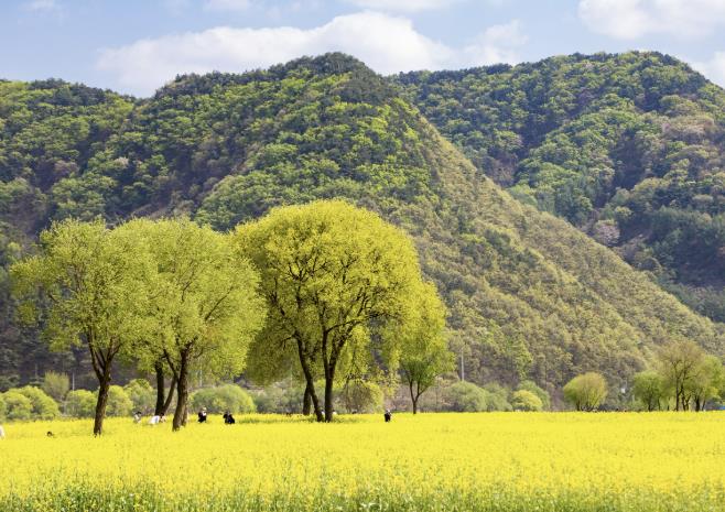 옥천군, 남녀노소 참여 가능한 "동이면 경관 스마트폰 사진 공모전" 개최