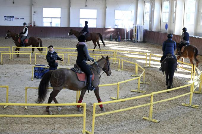 홍성군, 관내 초·중학생 승마 지원한다
