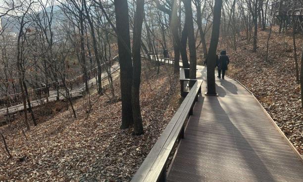 서초구, 도구머리근린공원 서측 '힐링숲' 조성... 도심 속 쉼표 늘린다!