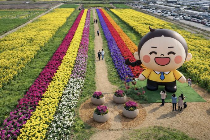 시련 딛고 피어난 노란 기적, '제22회 삼척맹방유채꽃축제' 4월 3일 개막