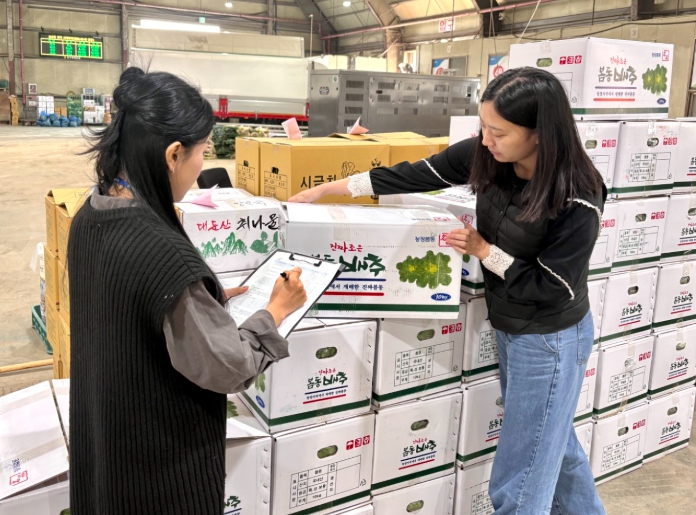 “봄나물 안심하고 드세요” 전북보건환경연구원, 봄동 등 봄나물 집중 검사 실시