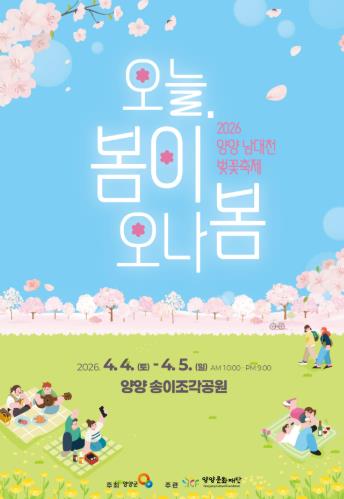 양양 남대천 핑크빛 벚꽃 물결…‘2026 양양 남대천 벚꽃축제’ 개최 
