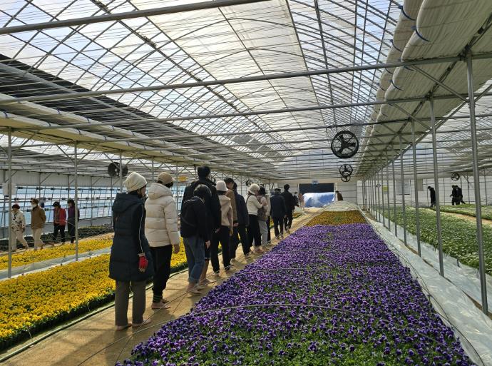 맨발길·황토볼 지압 체험 인기…부천 꽃양묘장 동절기 맨발길 성료