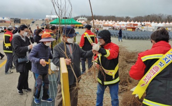 제주시, 새봄·새희망 담은 묘목 들불축제장에서 나눠드려요