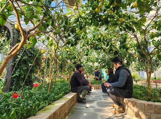 영광테마식물원 유리온실, 사계절 자연을 즐기는 힐링 공간