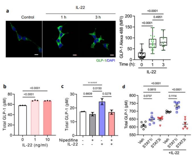 케이메디허브·대구경북첨단의료산업진흥재단, 비만·당뇨조절 논문 네이처 국제학술지 게재