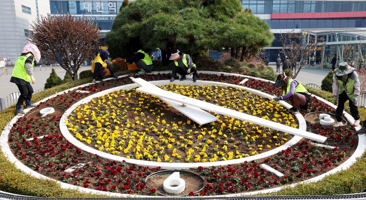 대전 동구, 도심 속 화사한 봄꽃 단장… ‘봄기운 가득한 꽃 경관’ 조성