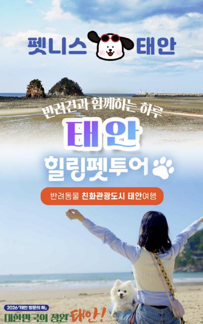 태안군, 반려견과 함께 떠나는 '펫니스 댕댕투어' 본격 운영