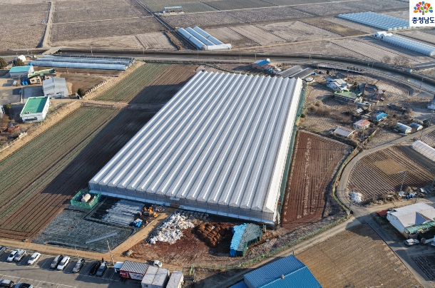 충남도 1만㎡ 규모 딸기 스마트팜 육묘장 조성