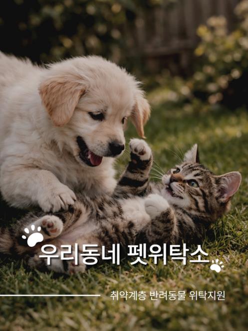 집 비울 때 반려동물 10일까지 돌봄 지원...강서구, '펫위탁소' 운영