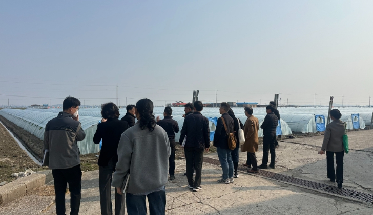 김제시, 시설감자 작황 및 출하 전망 현장행정 실시