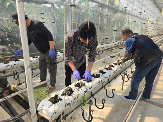 인제군, 신규·후계농업인 ‘현장형 기초영농 교육’ 운영