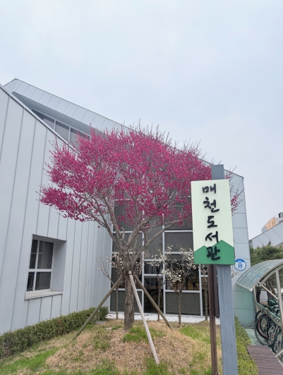 2026년 함께하는 구례매천아카데미 수강생 모집