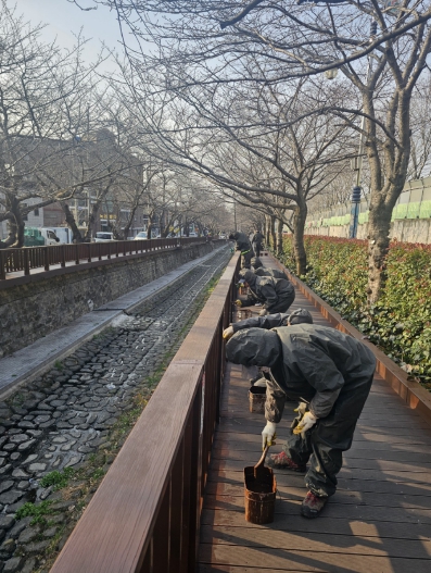 창원시 벚꽃의 도시 진해, 봄맞이 준비 본격화