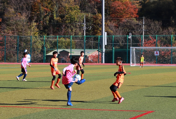 울진서 유소년 축구 꿈나무들의 열전 펼쳐진다 