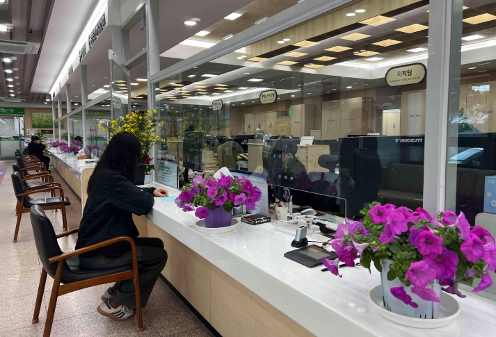 성주군, 봄맞이 민원실 꽃단장으로 따뜻한 민원 환경 조성