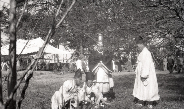 제주도, 1950~80년대 도정 기록사진 디지털 변환