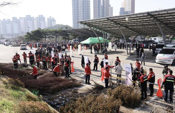 삼척시, 식목일 맞아 '내나무 갖기 캠페인'… 묘목 2만여 본 배부