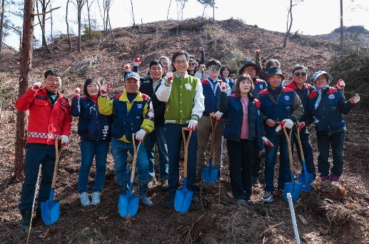 영암군, 식목일 나무심기로 감·배 농가 일대에 꿀벌 좋아하는 백합나무 심어