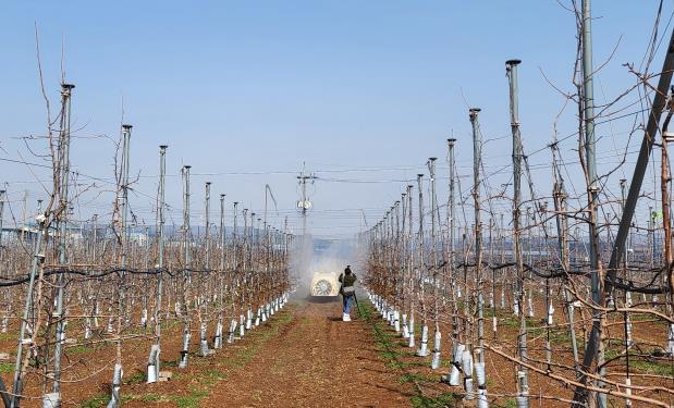 단양군, 고추·마늘·수박 농가 병해충 방제 약제 공급