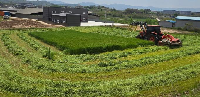 청주시, 첫 조사료전문단지 조성으로 자급사료 선도