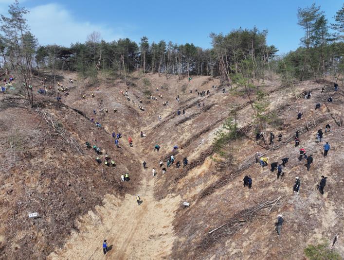 안동시, 제81회 식목일 기념 나무심기 행사 개최