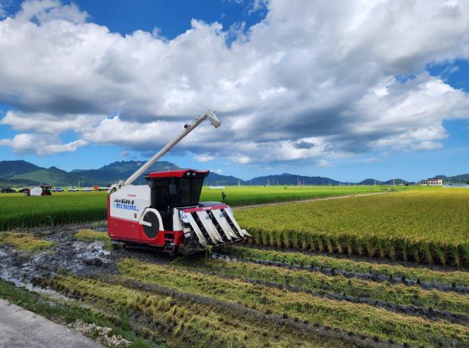 전남도, 벼 경영안정대책비 미지급분 114억 지급