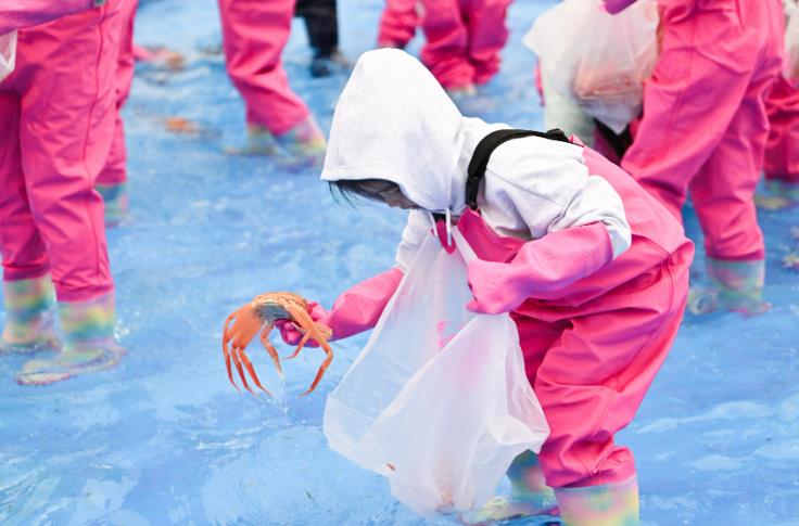 제29회 영덕대게축제 26일 개막, ‘잡는 재미 먹는 즐거움’ 가득
