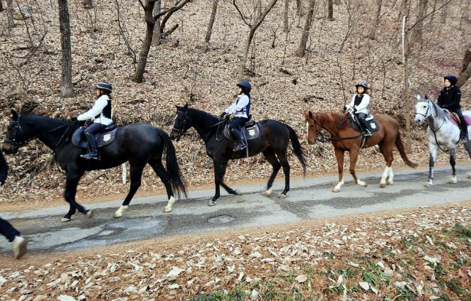 [기획] "승마로 배우는 이순신 정신"…아산시 ‘공공형 승마 프로그램’ 본격화