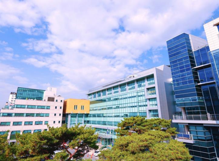 "내 땅 가격 얼마일까" 은평구, 2026년 개별공시지가 열람 시작