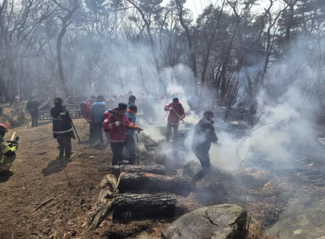 수원특례시, 대형산불 특별대책기간 돌입…산불 가해자는 고의·실수 불문하고 엄정 처벌