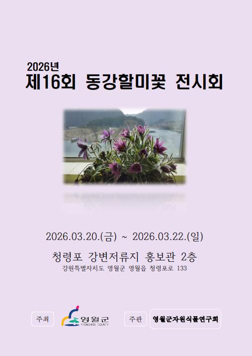 봄의 전령사, 동강할미꽃의 향연: 제16회 동강할미꽃 전시회 개최