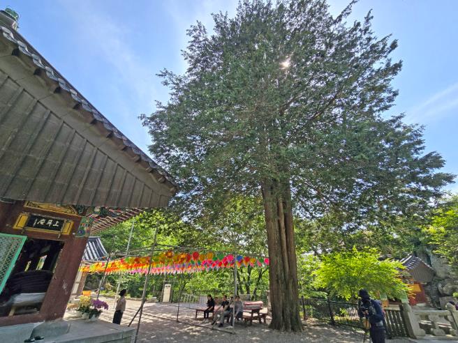임실 성수산, 산림 레포츠·숲 해설 프로그램 본격운영 

