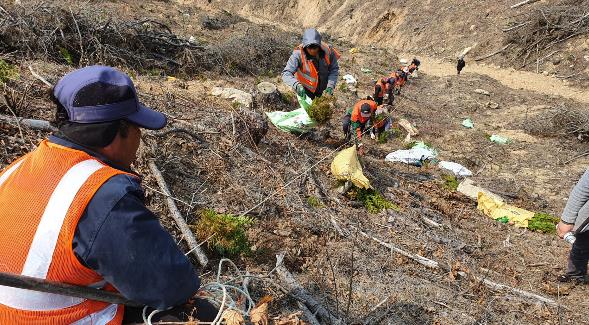 임실군 봄철 조림사업 본격 추진
