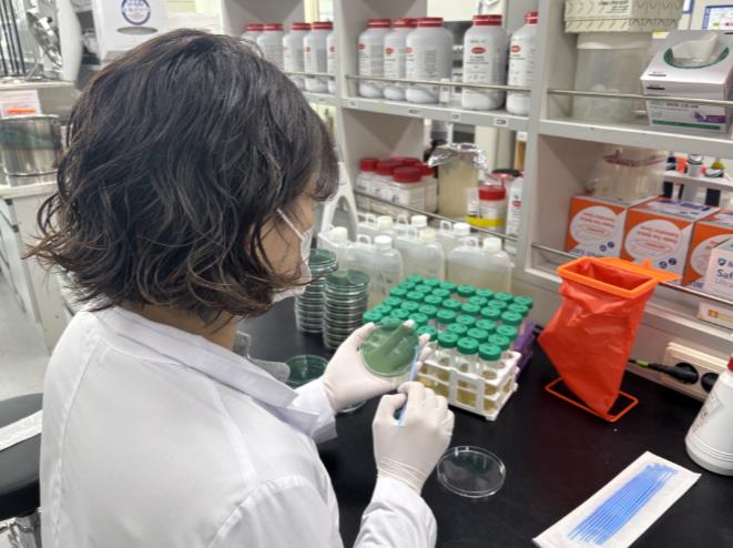 전남서 올해 첫 비브리오패혈증균…어패류 익혀드세요