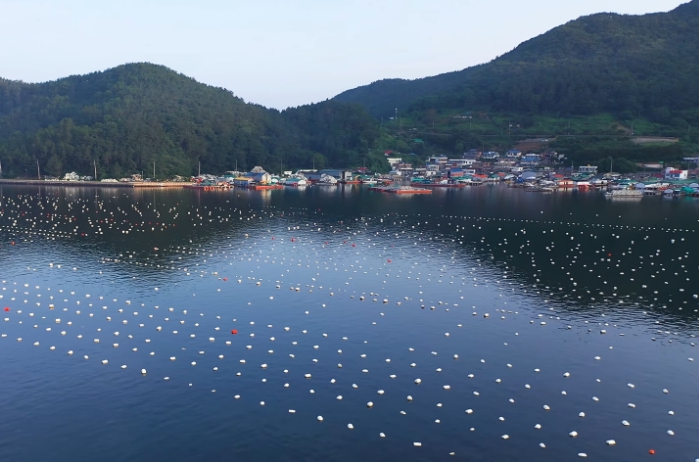 경남도, '프랑스요리 명장들' 굴 생산 현장 찾는다.