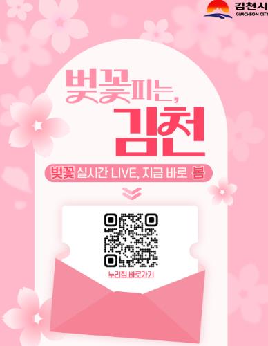 김천시 대표 누리집에서 벚꽃 실시간 LIVE, 지금 바로 봄 클릭! 