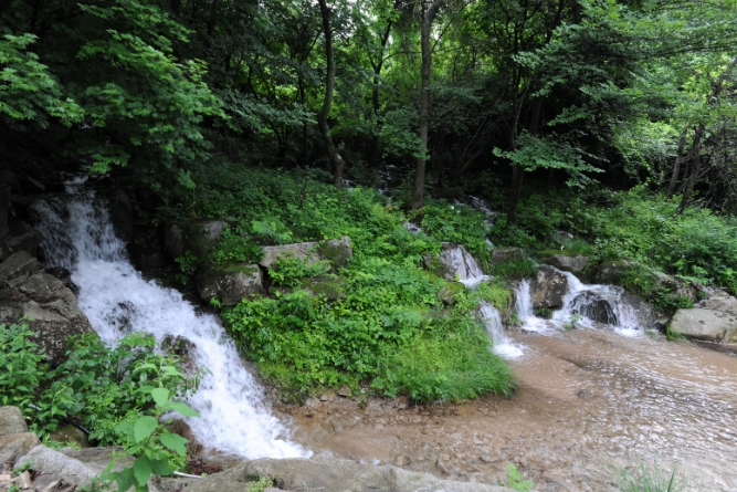 청정 화천 산간 계곡 불법 시설 집중 단속