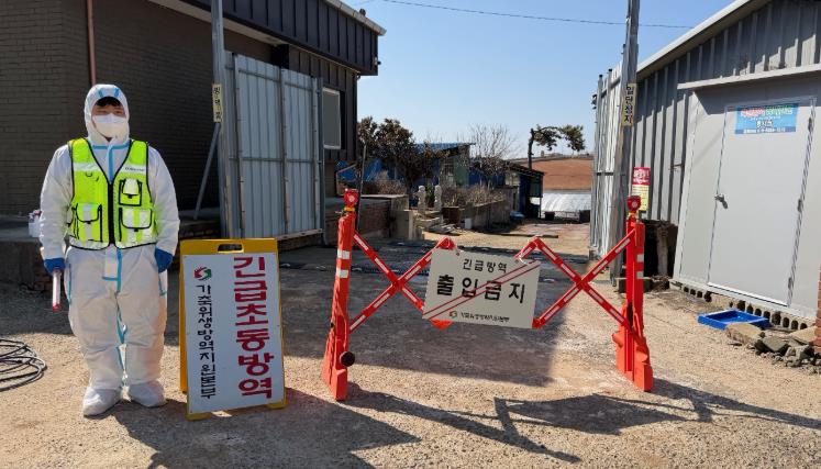 전남도, 무안 오리농장서 조류인플루엔자…방역 강화