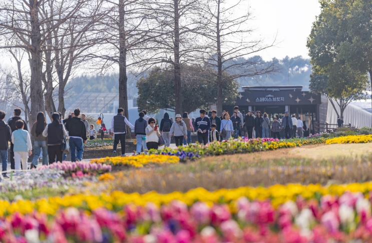 올봄 순천만국가정원을 즐기는 3가지 방법
