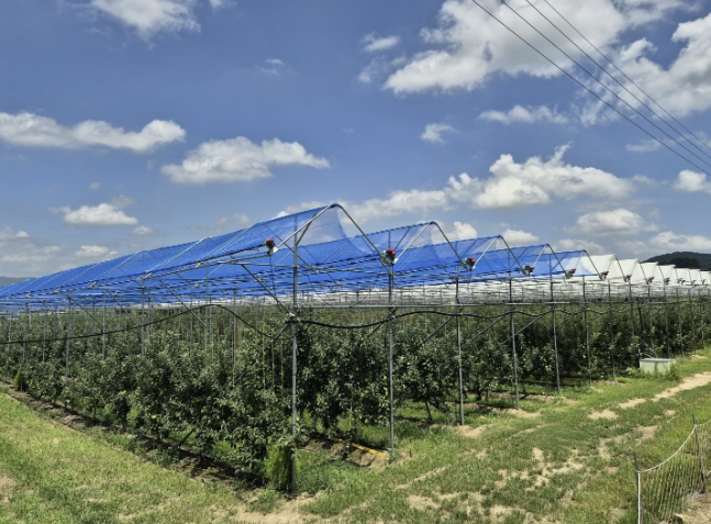 보은군, 스마트 과수원 특화단지 조성사업 본격 추진