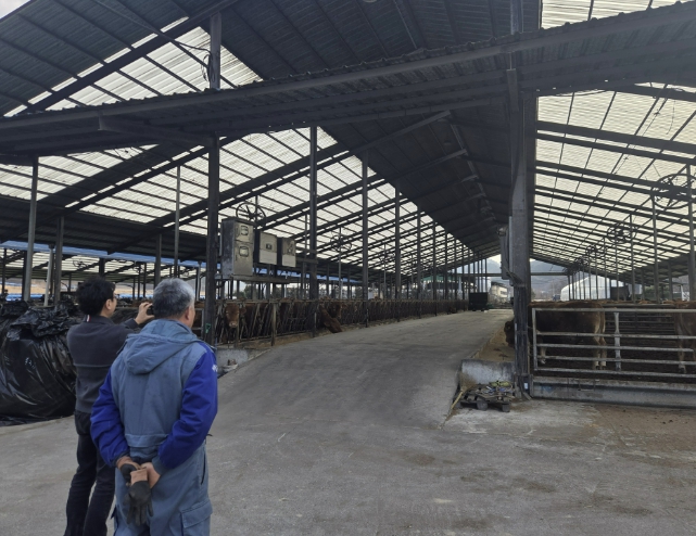 홍천군, 축산 신기술 보급 본격화…국비 1억 3,500만 원 확보, 총 2억7천 투입